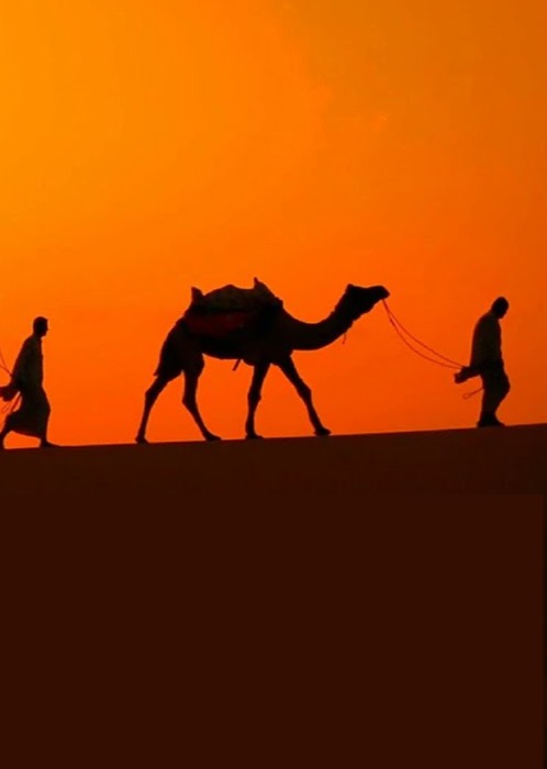 الرحلة الأنورية إلى الأصقاع الحجازية و الشامية